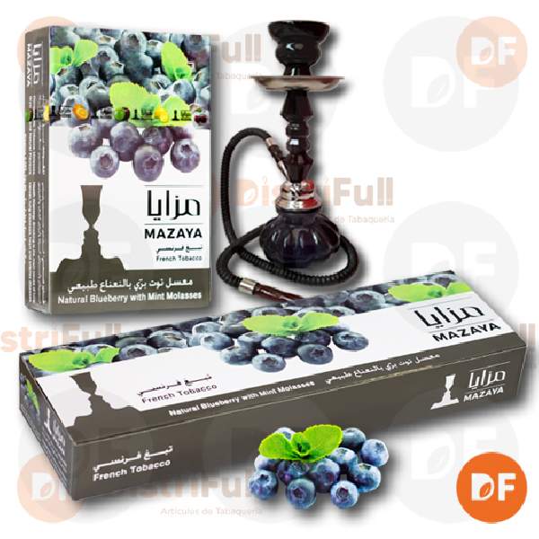 TABACO DE NARGHIL MAZAYA BLUEBERRY WITH MINT x 50gr.