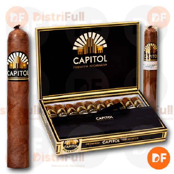 CIGARROS CAPITOL CASINO x 10