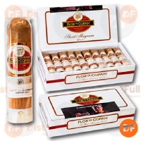 CIGARROS FLOR DE COPAN SHORT MAGNUM x 20