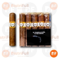 CIGARROS AX INDONESIA PETIT ROBUSTO x 10 (Dorado)